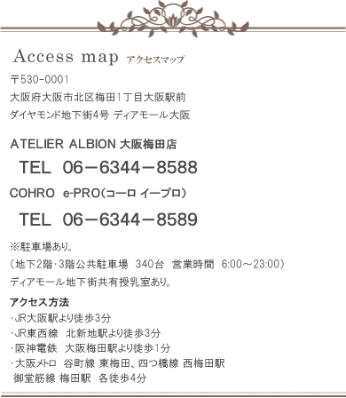 Access map アクセスマップ